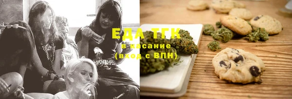 индика Алексин
