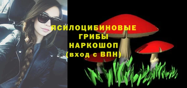 индика Алексин