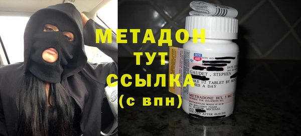 индика Алексин