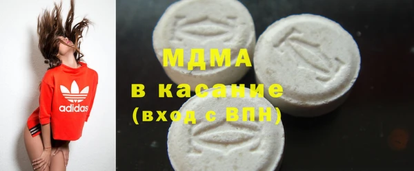 индика Алексин
