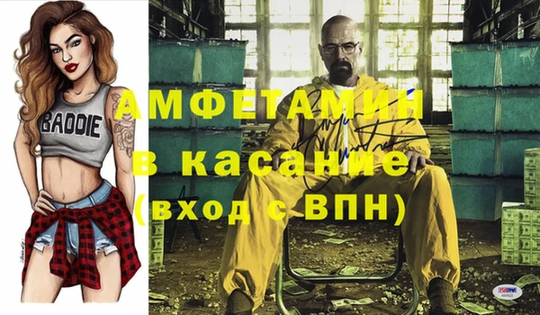 индика Алексин