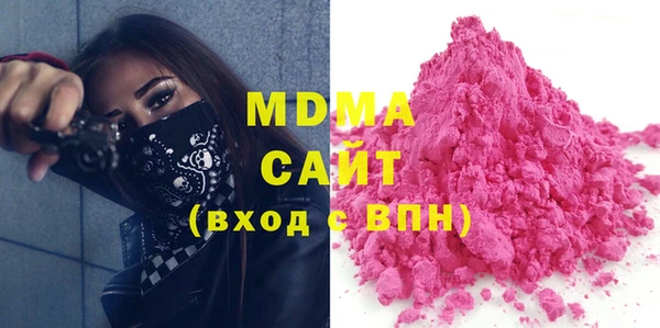индика Алексин