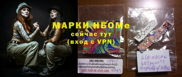 индика Алексин