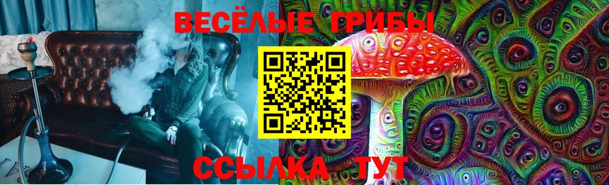 Псилоцибиновые грибы MAGIC MUSHROOMS  Вход с VPN  Псилоцибиновые грибы ЛСД  Туймазы 